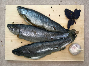 Форель радужная х/к: Форель радужная вяленая